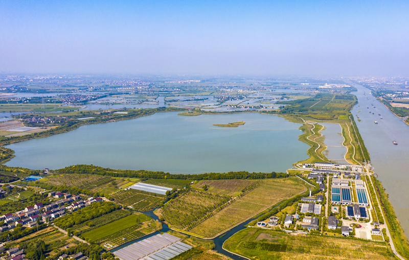 太浦河風光。嘉善縣委宣傳部供圖