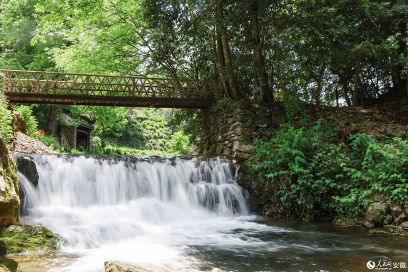 安徽黃山新安江源頭美景。人民網記者 張俊攝