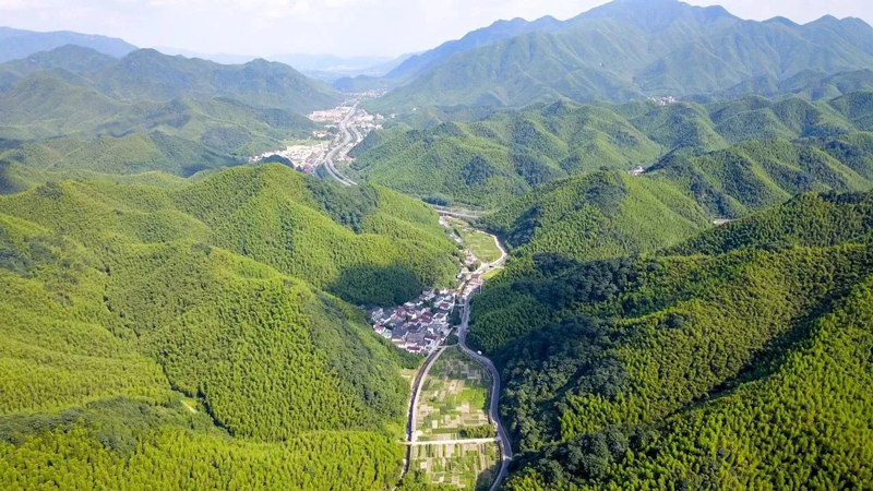 “綠色低碳新風”撲面而來。余杭區委宣傳部供圖