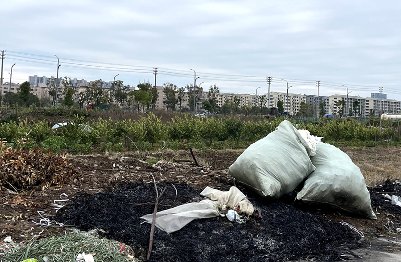 12月20日拍攝到的新扔工業廢料。龍港居民供圖