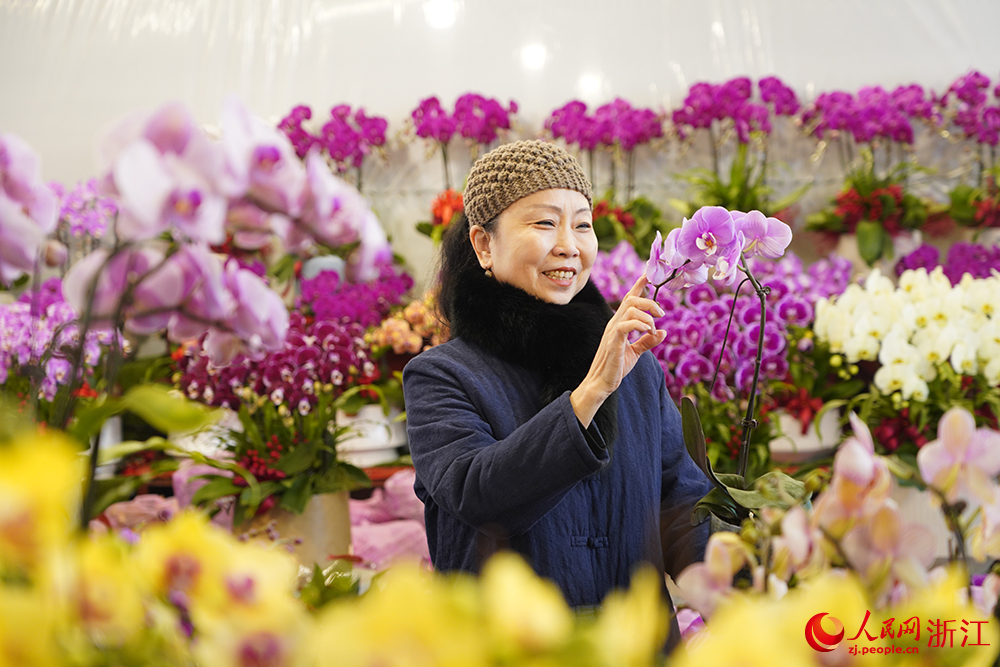 近日，市民在杭州市拱墅區石橋街道楊家花卉世界內選購年宵花。人民網 章勇濤攝