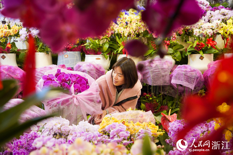 市民在浙江省杭州市拱墅區石橋街道楊家花卉世界購買年宵花。人民網 章勇濤攝