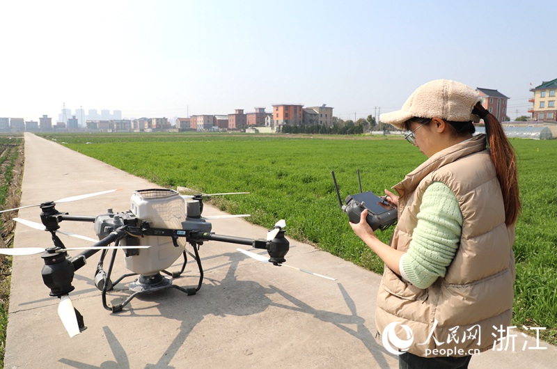 馬鑫女正在配置植保無人機的飛行軌跡。人民網 方彭依夢攝