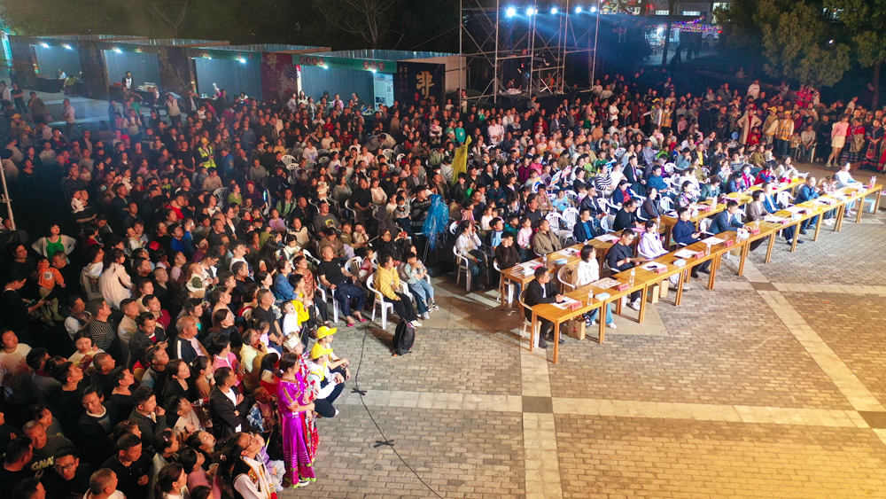 武義縣新居民才藝大賽展演活動現場。沈云建攝