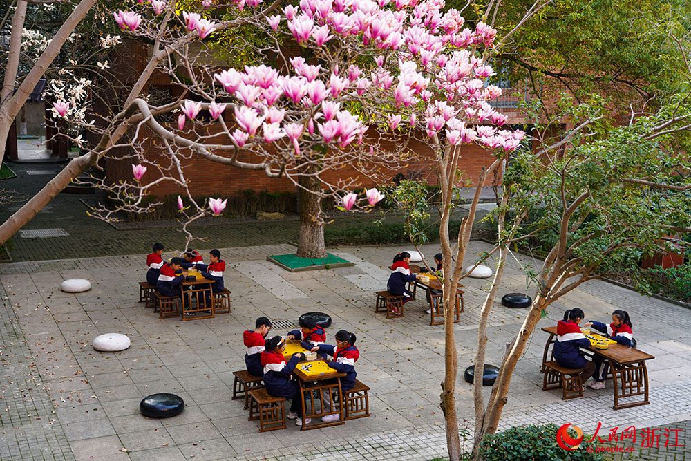 在寧波市江北區慈城鎮中城小學，學生坐棋盤前執子對弈。人民網 章勇濤攝