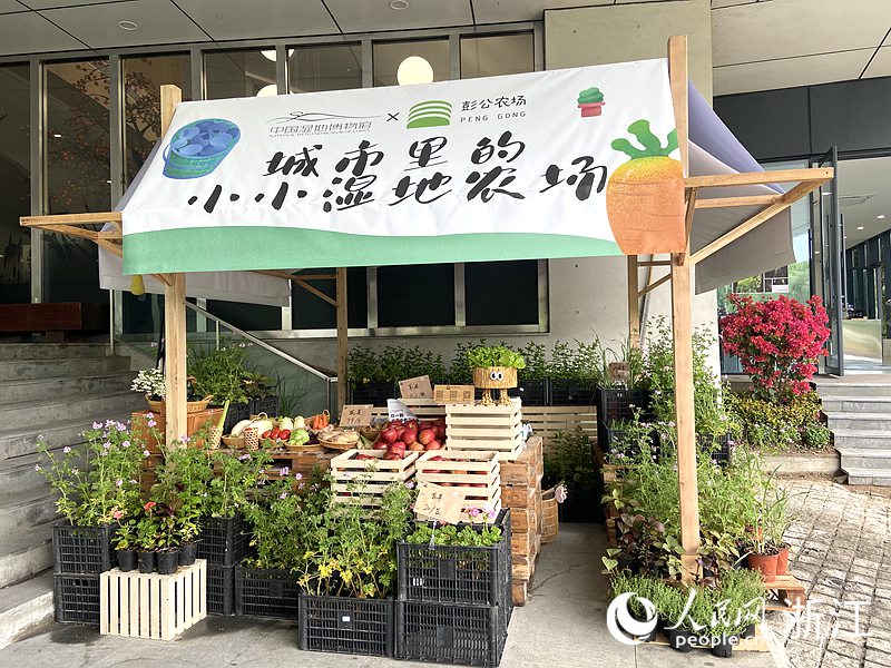 城市里的小小濕地農場。人民網 方彭依夢攝