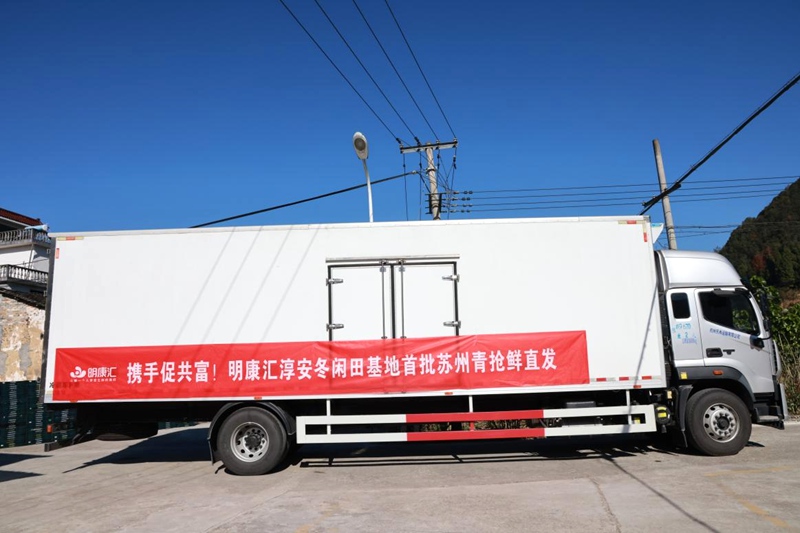 來自淳安的新鮮蔬菜，最快8小時就能出現在長三角消費者的餐桌上。受訪者供圖