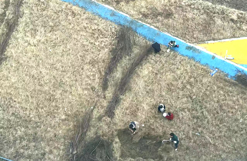 今年初，綠地正被破壞。受訪者供圖