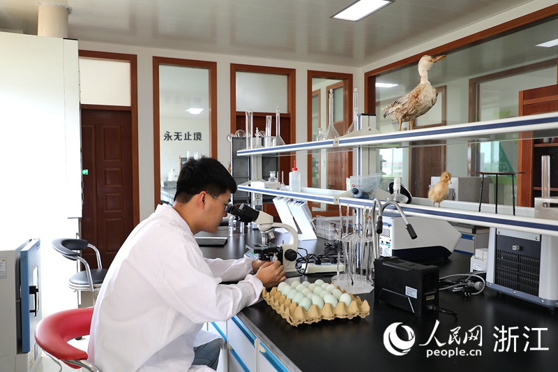 趙廣民在對采集來的實驗樣品進行數據分析。人民網 方彭依夢攝