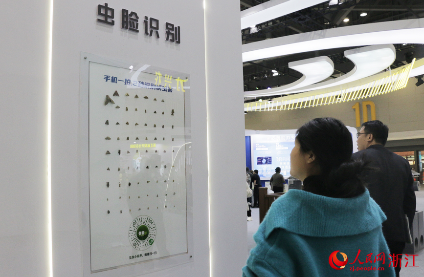 現場展示的“蟲臉識別”小程序。人民網記者 王麗瑋攝