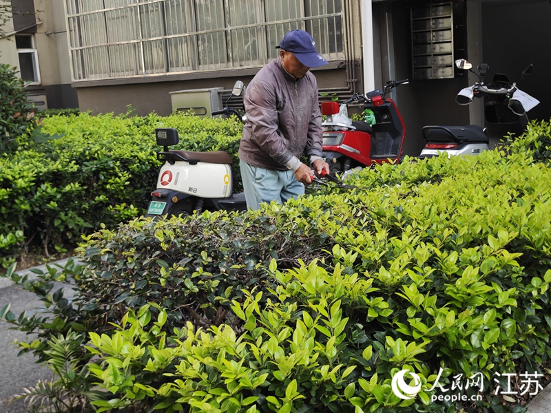 “物業服務社”工作人員在修剪綠植。人民網 徐晨曦攝