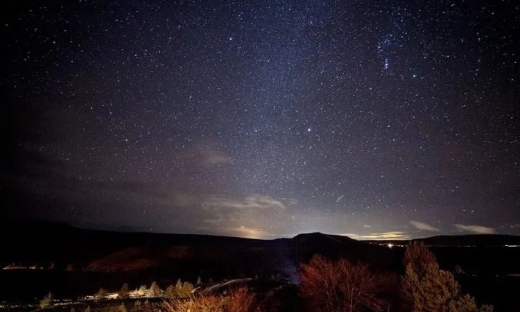 浙農觀察——鄉村“星空經濟”何以燎原