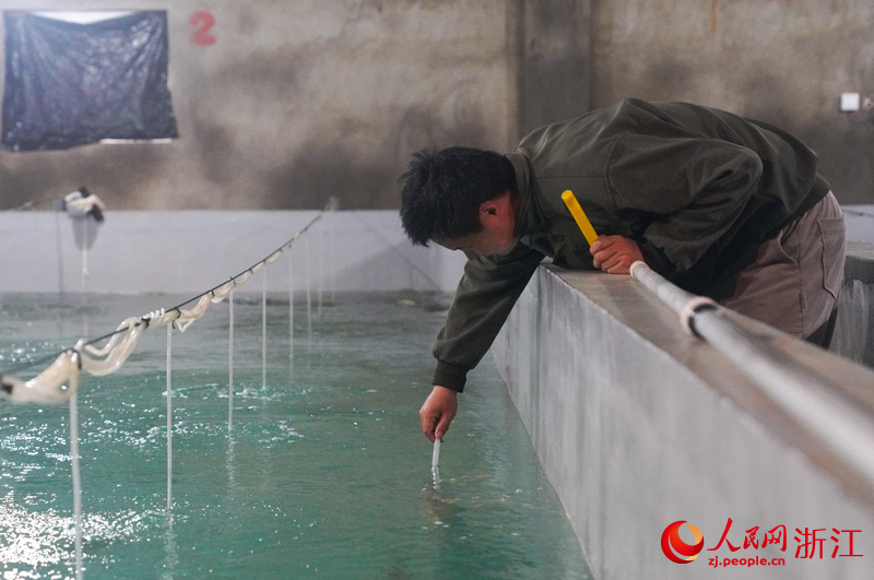 正在檢測水溫的陶雙雙。人民網記者 郭揚攝
