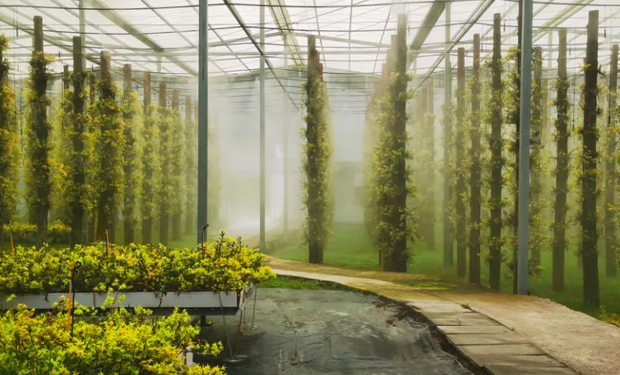 中醫藥助力鄉村振興“山海共富麗水行”活動舉行