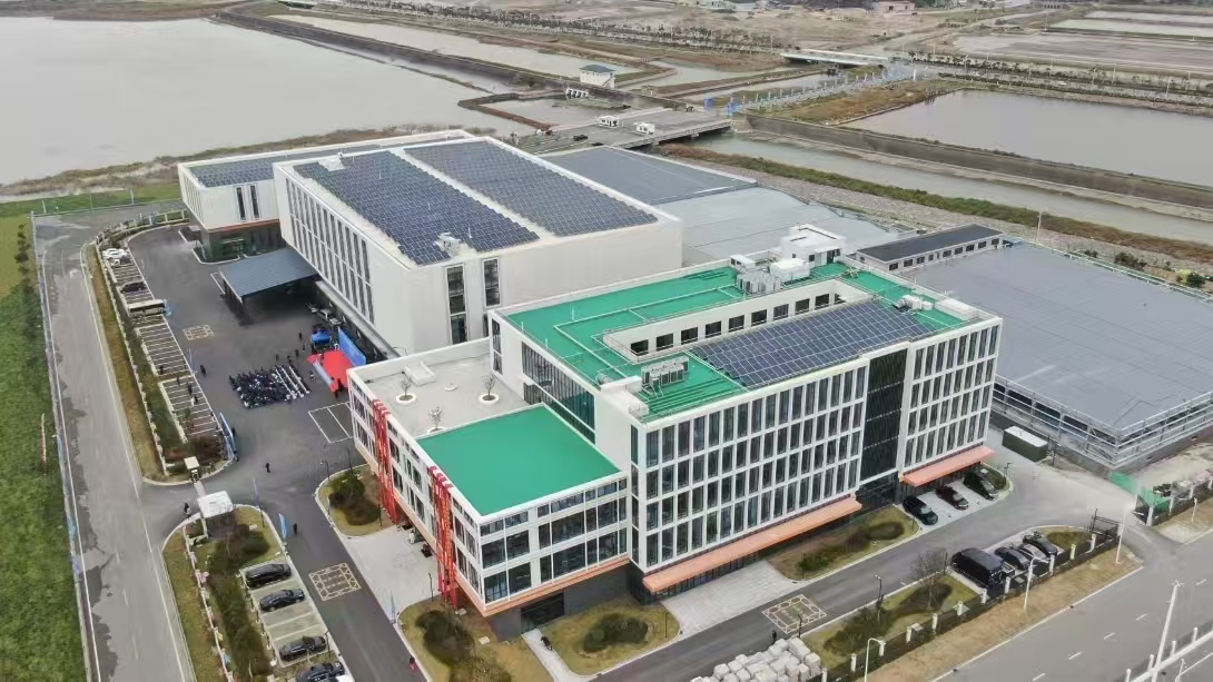 中國蝦峙門（普陀）國際航運產業園。陳雨露攝