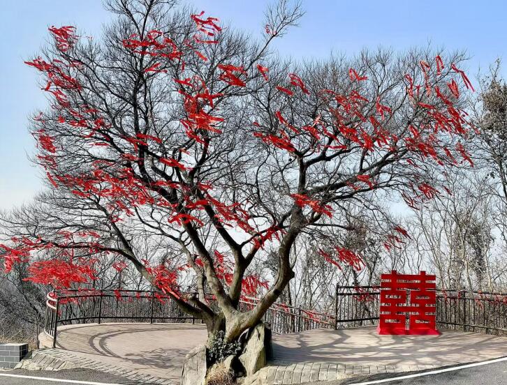 浮槎山新春游園薈活動。東城文旅供圖