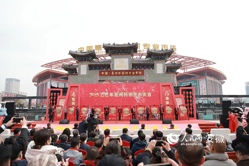 2025年亳州藥市開市。人民網記者 王曉飛攝