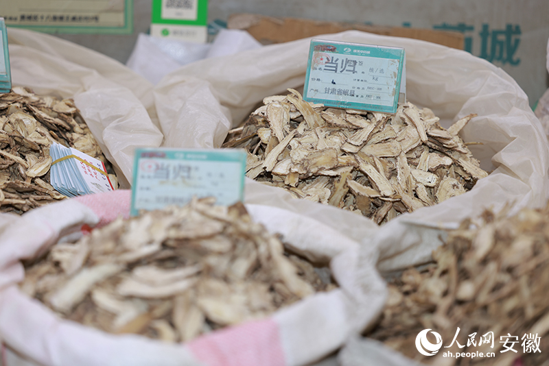 當歸。人民網記者 王曉飛攝