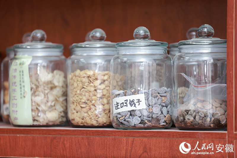 馬錢子。人民網記者 王曉飛攝