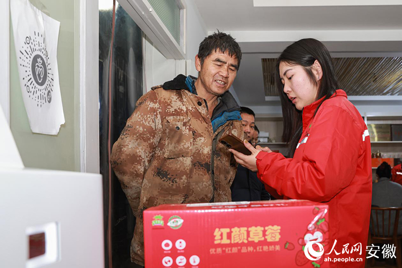 工作人員（右）幫助種植戶處理草莓電商訂單。人民網記者 張俊攝