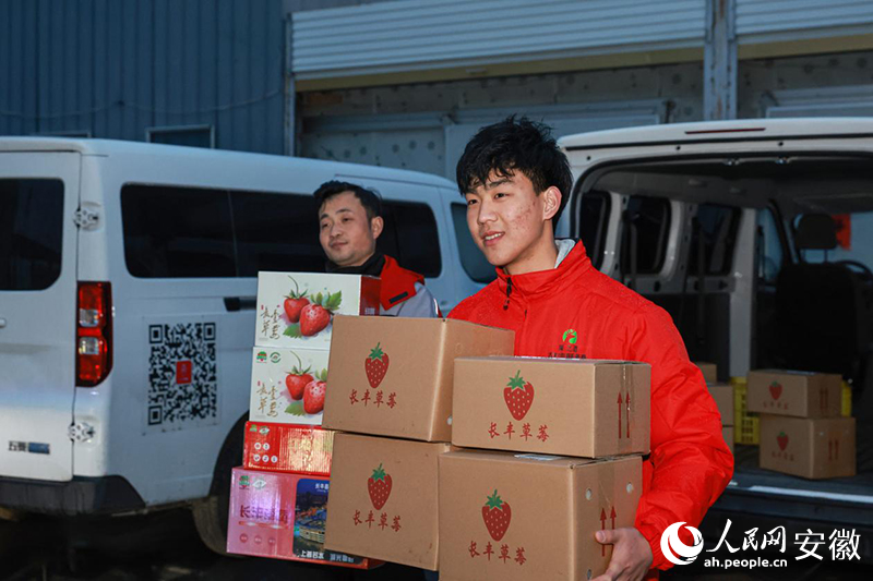 工作人員將從村級攬收點接收的“電商草莓”送往物流樞紐。人民網記者 張俊攝