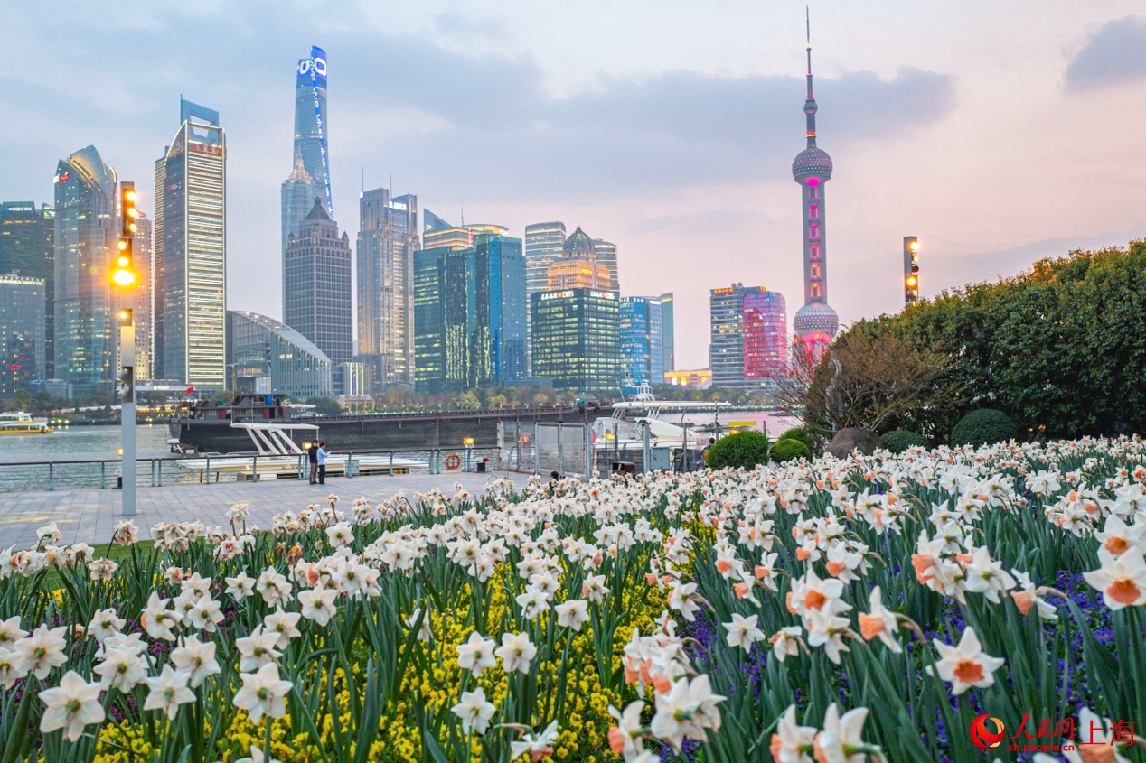 北外灘繁花似錦，景色迷人。 人民網記者 王初攝
