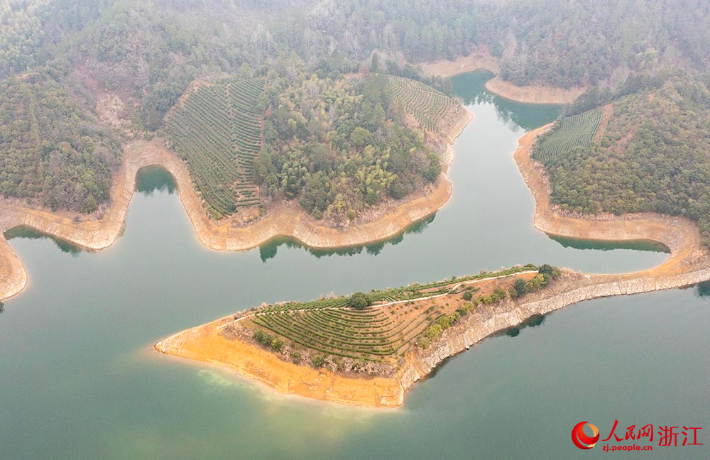 在浙江淳安，茶農正在采摘春茶。人民網 章勇濤攝