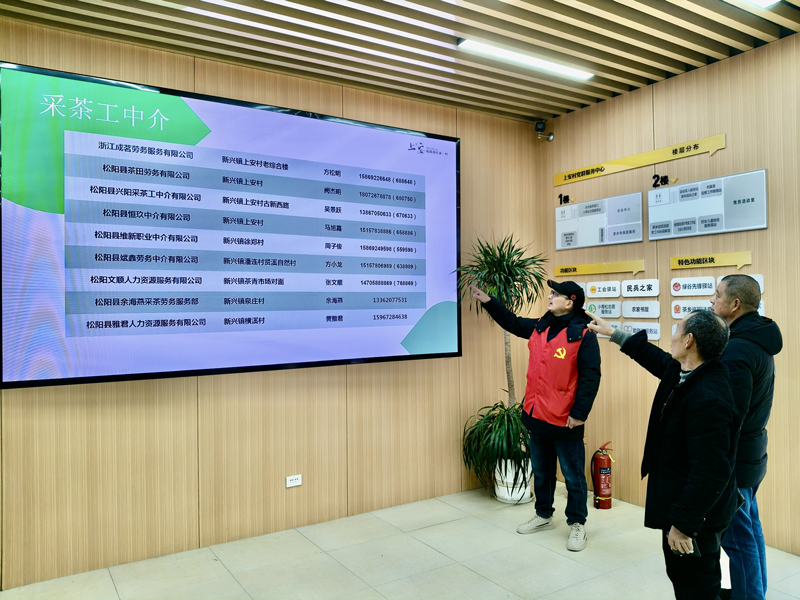 茶農在黨群服務中心“茶工超市”查看崗位信息。松陽縣委宣傳部供圖