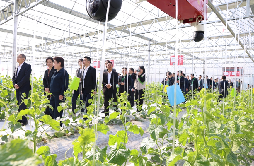 與會嘉賓走訪調研。蔡志敏攝