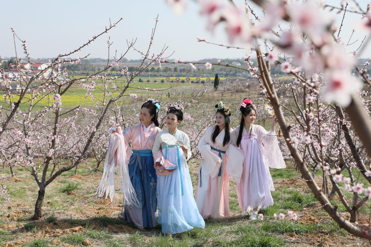 桃花節期間，市民身著漢服打卡游覽桃花園。金安區委宣傳部供圖