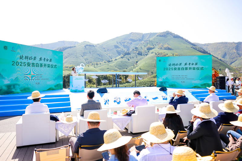 開采儀式現場。安吉縣委宣傳部供圖