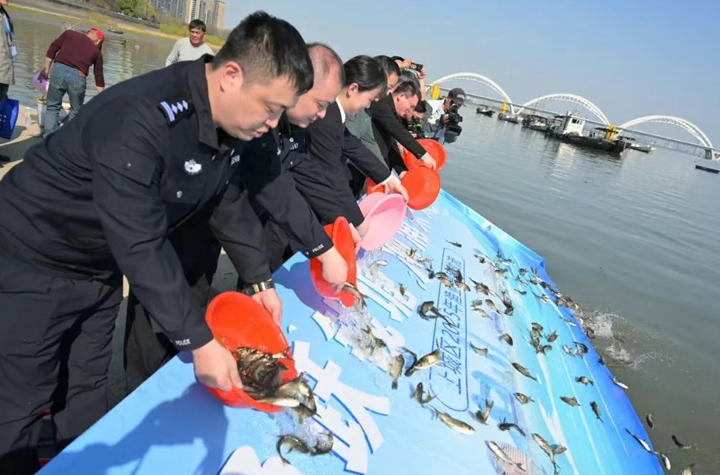 今天，14萬尾魚苗從這里游進錢塘江！