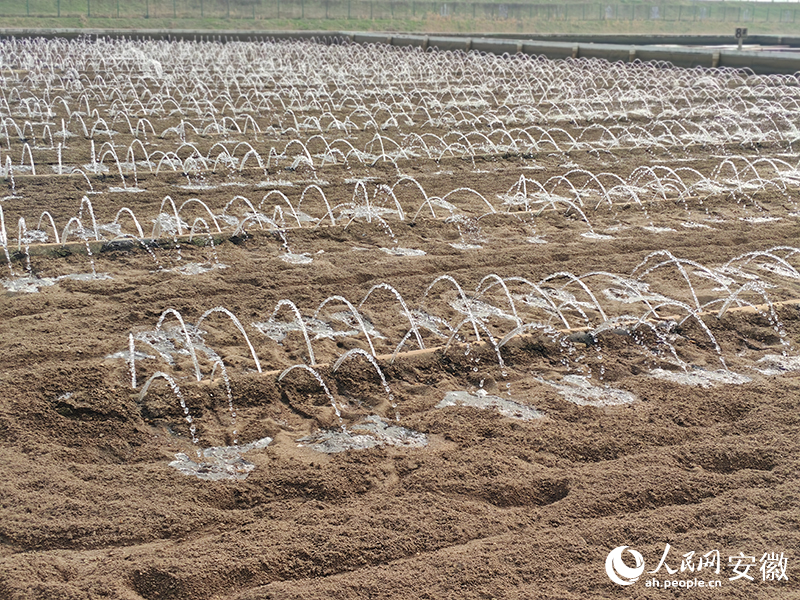 滲透池開始進水。人民網丁紀攝