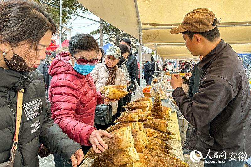 當地冬筍供不應求。人民網記者 李希蒙攝