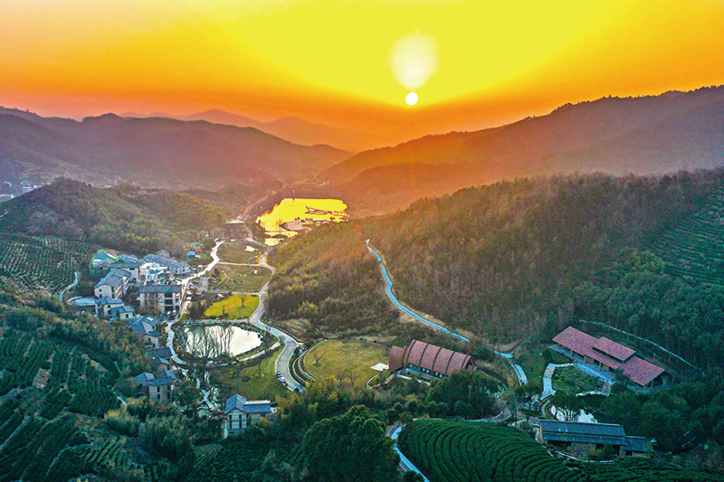 虎凹·歡樂茶谷航拍圖。廬江縣委宣傳部供圖