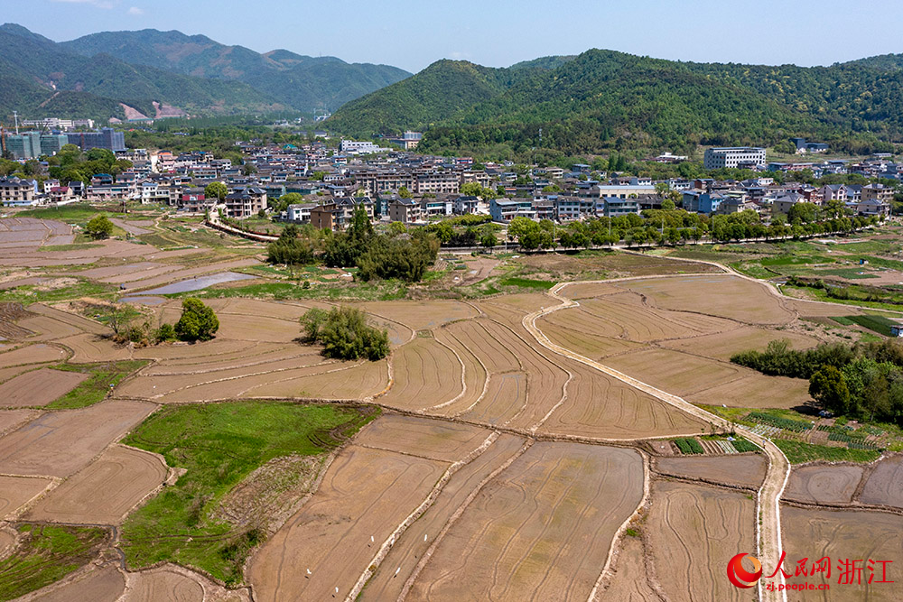 空中俯瞰寧波市寧?？h前童鎮大鄭村，翻耕后的水田阡陌縱橫。人民網 章勇濤攝