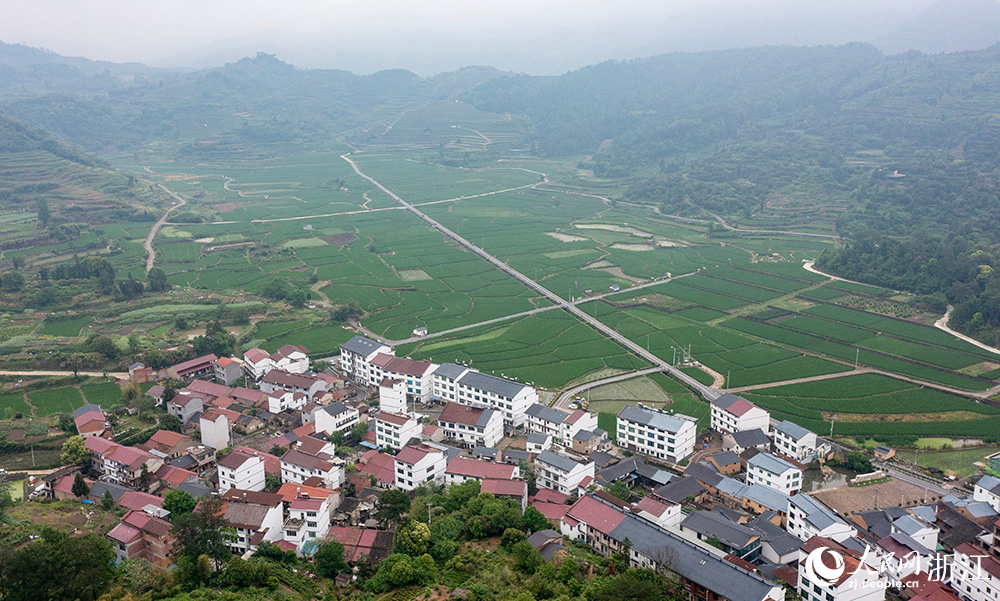 空中俯瞰浙江省麗水市縉云縣前路鄉，村落錯落有致。人民網 章勇濤攝