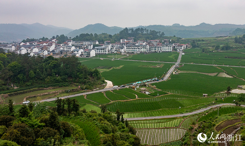 空中俯瞰浙江省麗水市縉云縣前路鄉，村落錯落有致。人民網 章勇濤攝