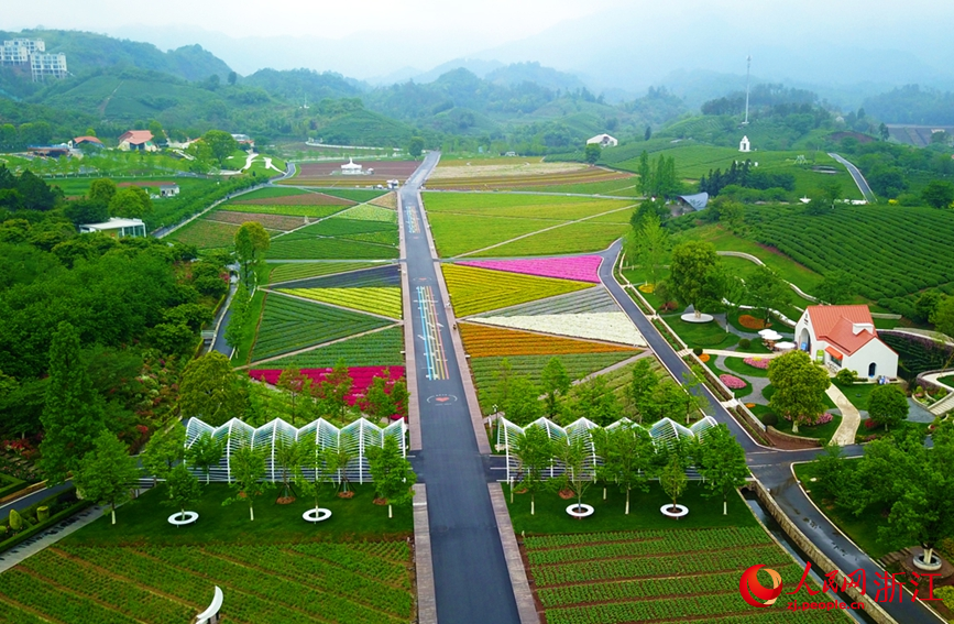 浙江省武義縣花田美地景區。人民網 劉欣蔚攝