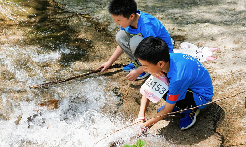 溪澗的小池嬉水讓孩子們興奮不已。主辦方供圖