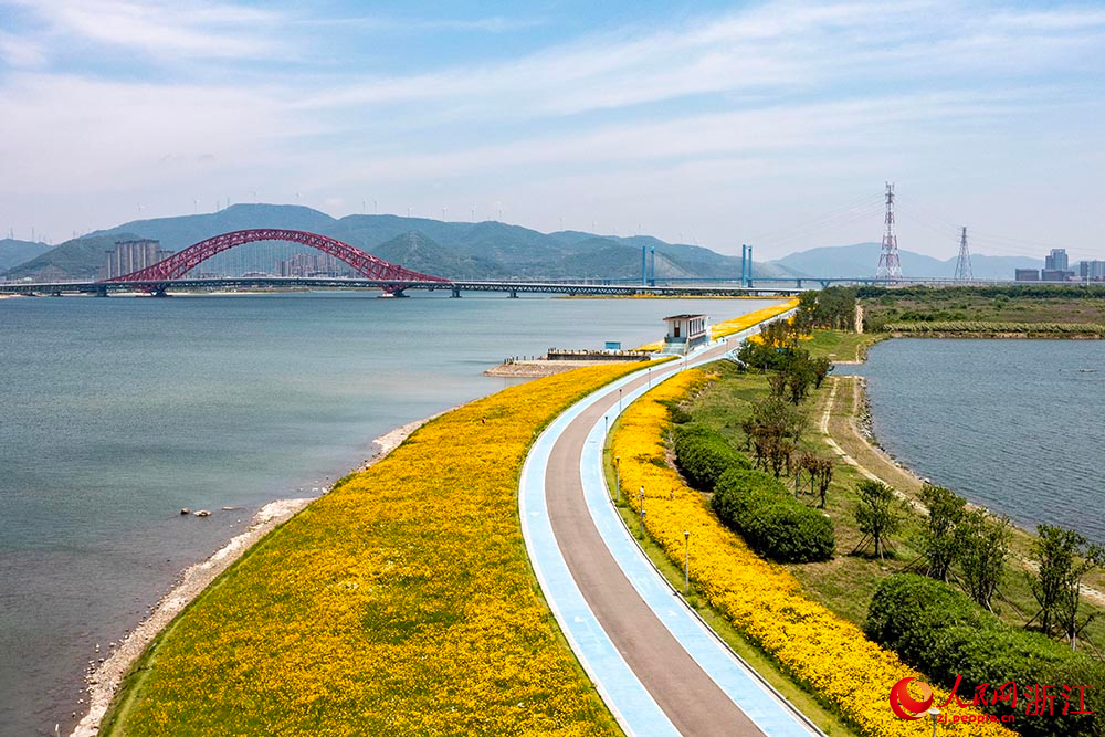 寧波市北侖區梅山灣梅山紅橋附近的花海景觀。人民網 章勇濤攝