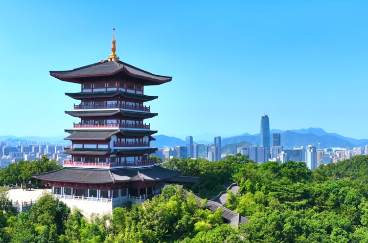 “1+1+9”，臺州“智造”新速度