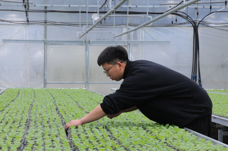 操雅琴的咖啡店。龍泉市委宣傳部供圖