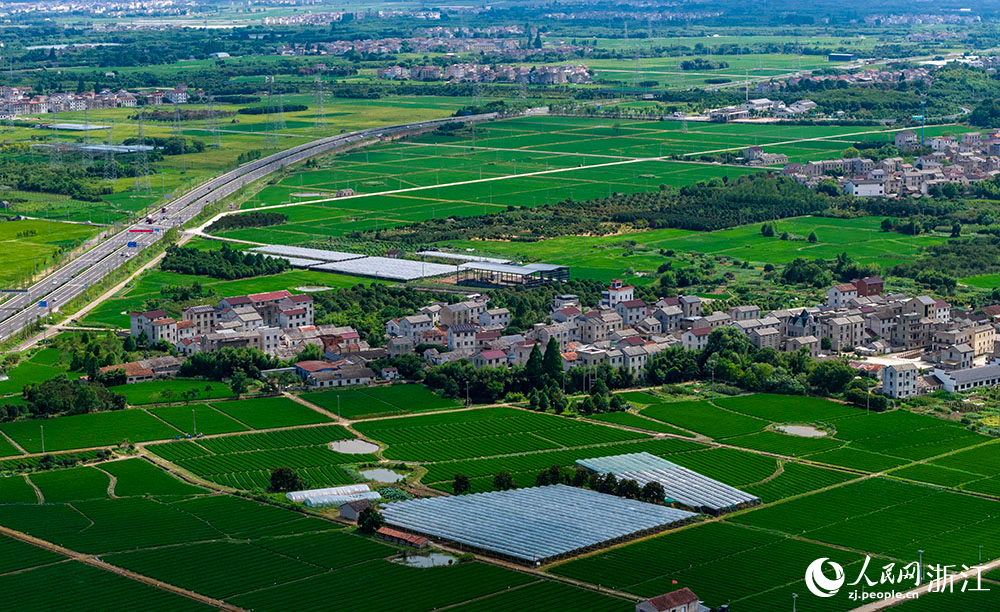 近日，在浙江省嵊州市甘霖鎮，成片的高標準農田排列整齊，與青山、村落、村道等交相輝映，勾勒出一幅美麗的田園風光畫卷。人民網 章勇濤攝