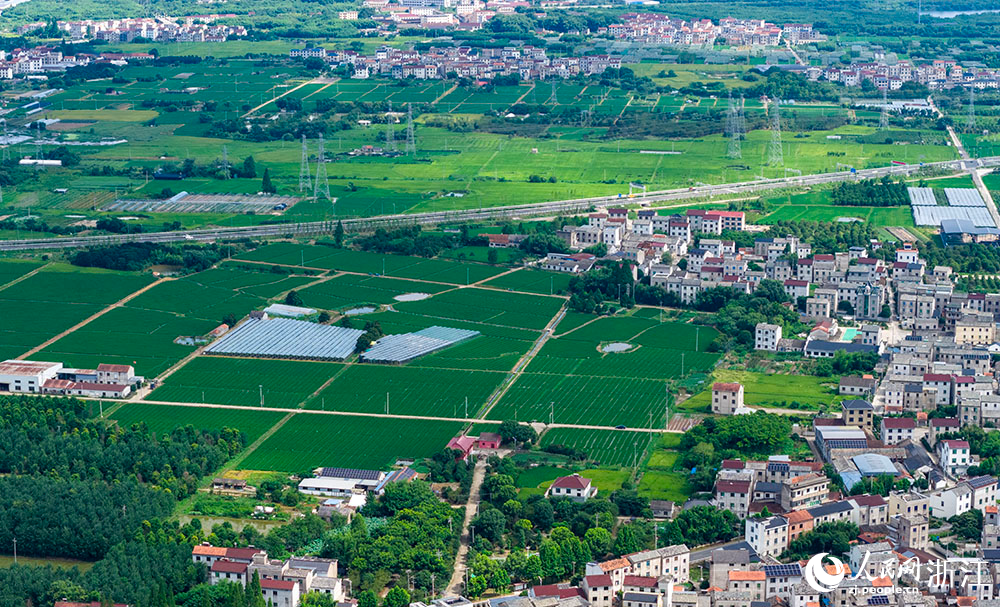 近日，在浙江省嵊州市甘霖鎮，成片的高標準農田排列整齊，與青山、村落、村道等交相輝映，勾勒出一幅美麗的田園風光畫卷。人民網 章勇濤攝