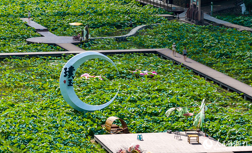 近日，浙江省嵊州市貴門鄉璞玉村的荷花競相綻放。人民網 章勇濤攝