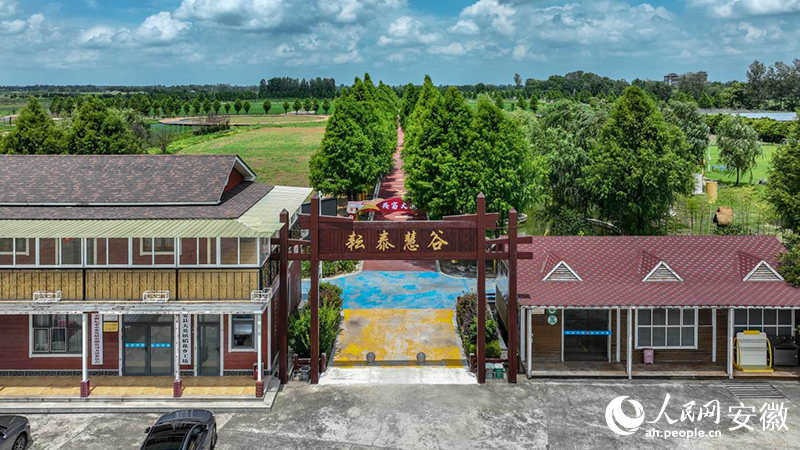 在大英鎮，通過“稻花鄉”共富工坊助力農業“三產”融合。人民網記者 陶濤攝