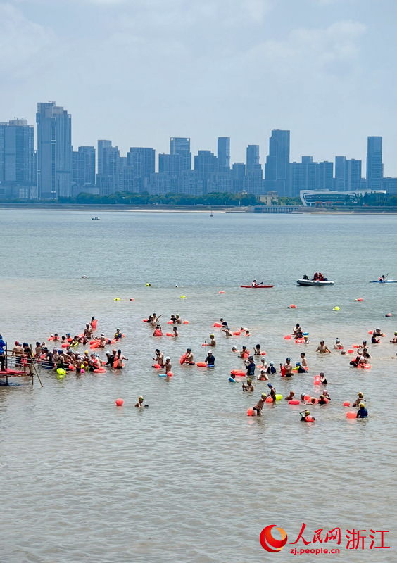 2025橫渡錢塘江活動。人民網 劉欣蔚攝