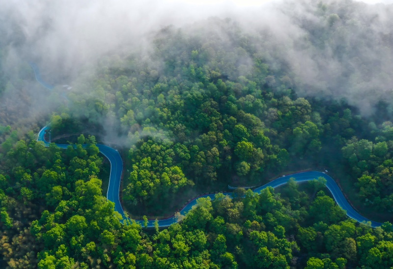 空中俯瞰東海云廊，宛如一條藍色玉帶盤繞山間。定海區委宣傳部供圖