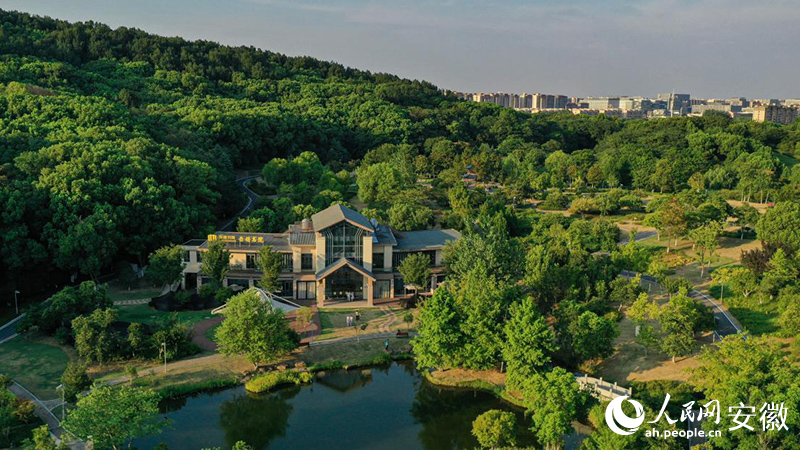 鬧中取靜的赤鑄書院。人民網記者 張俊攝